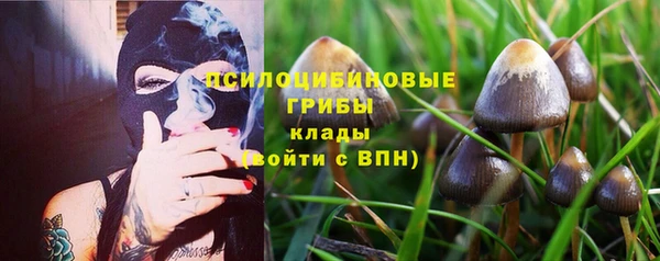 прущая мука Лихославль